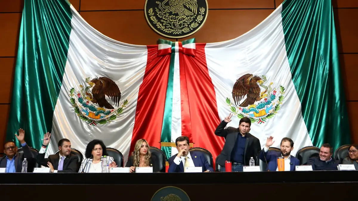Cámara de diputados (2)